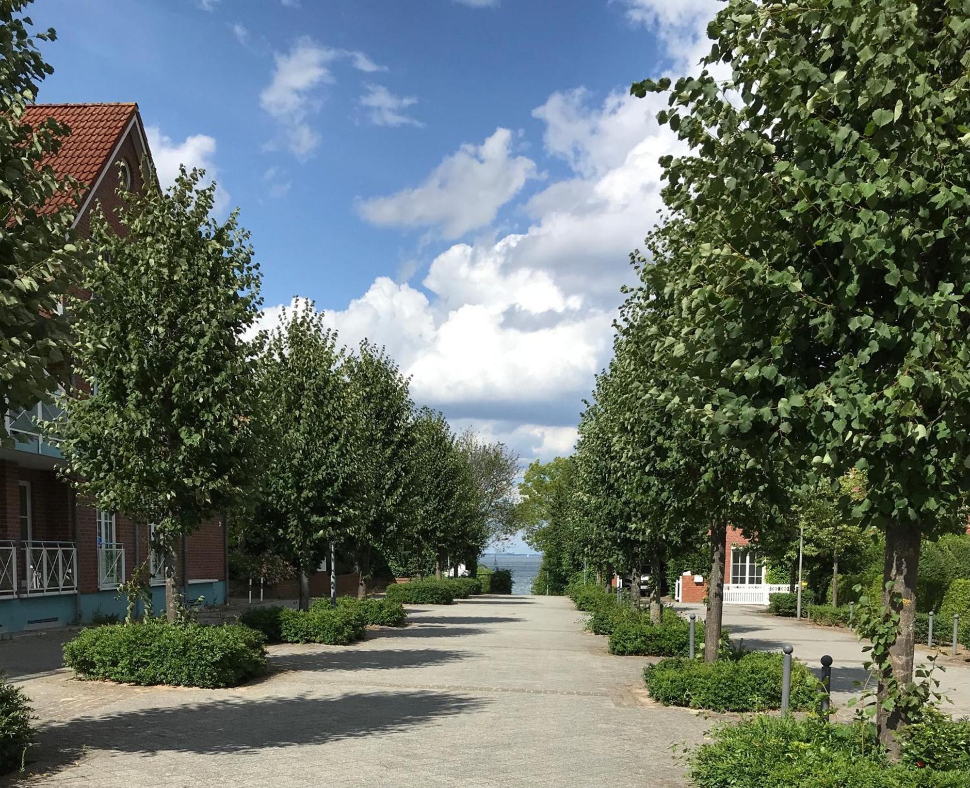 Ost11A Ferienwohnung Strandnah Niendorf  Exteriör bild